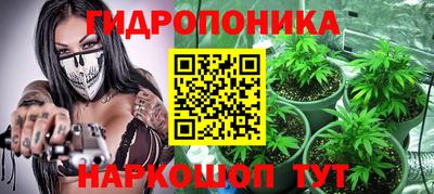 шишки Чапаевск